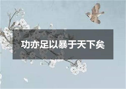 功亦足以暴于天下矣