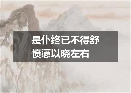 是仆终已不得舒愤懑以晓左右