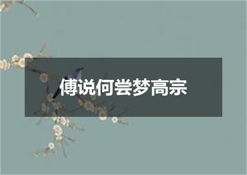 傅说何尝梦高宗