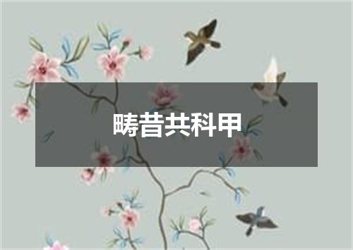 畴昔共科甲