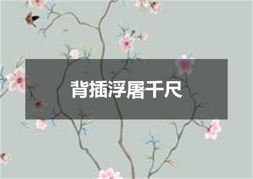 背插浮屠千尺
