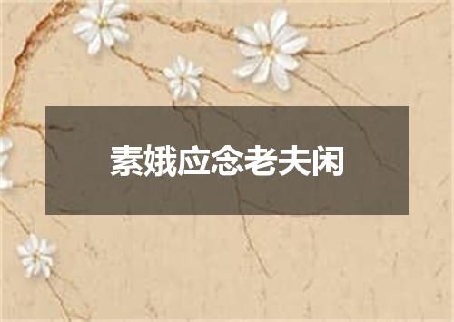 素娥应念老夫闲