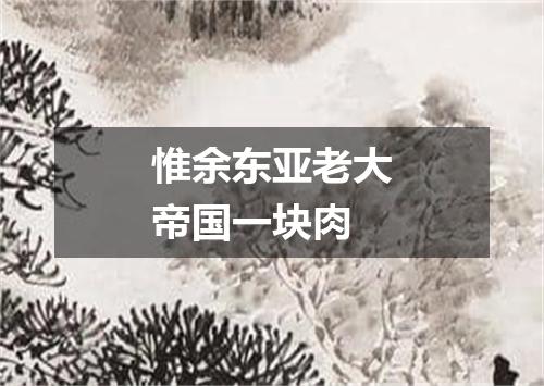 惟余东亚老大帝国一块肉