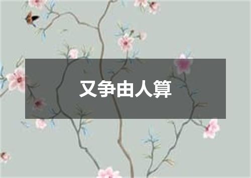 又争由人算