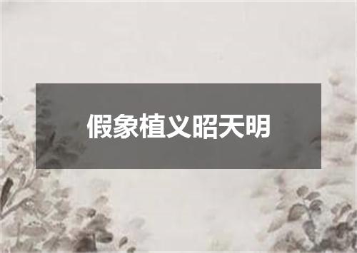 假象植义昭天明