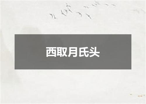 西取月氏头