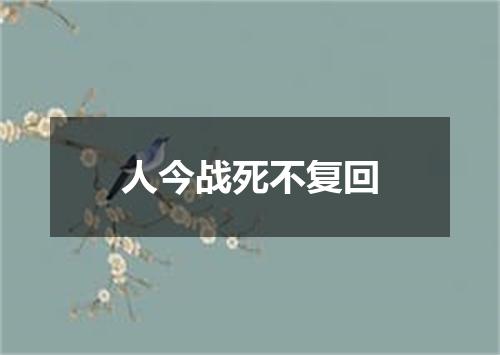 人今战死不复回
