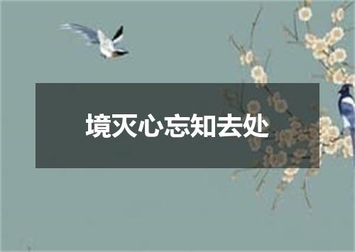 境灭心忘知去处