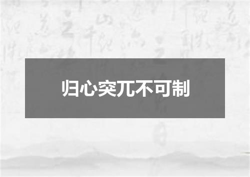 归心突兀不可制