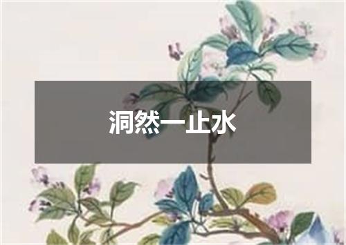 洞然一止水