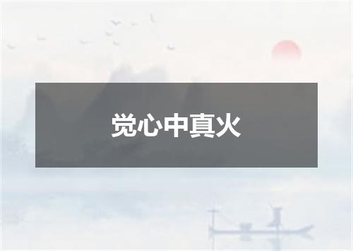 觉心中真火