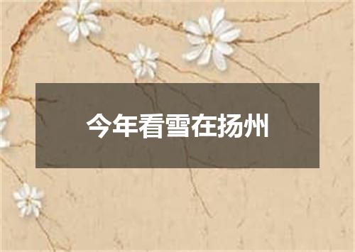 今年看雪在扬州