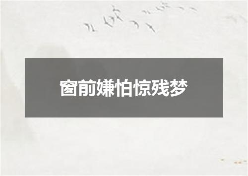 窗前嫌怕惊残梦