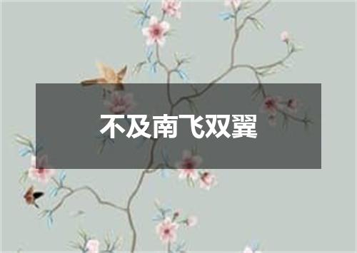 不及南飞双翼
