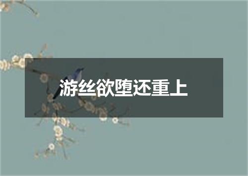 游丝欲堕还重上