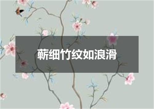 蕲细竹纹如浪滑