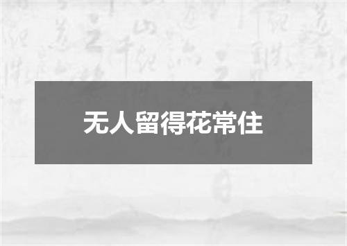 无人留得花常住