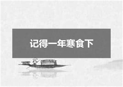 记得一年寒食下
