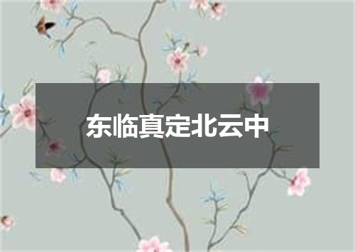 东临真定北云中