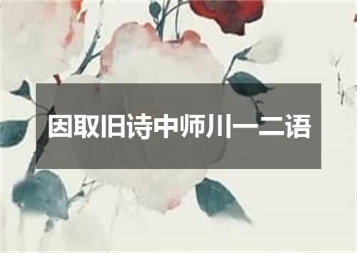 因取旧诗中师川一二语