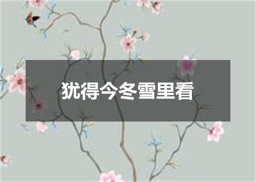 犹得今冬雪里看