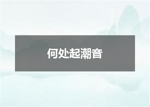 何处起潮音