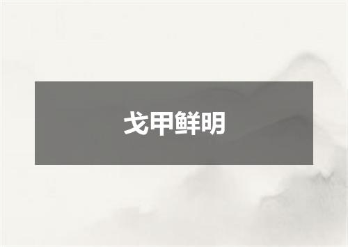 戈甲鲜明