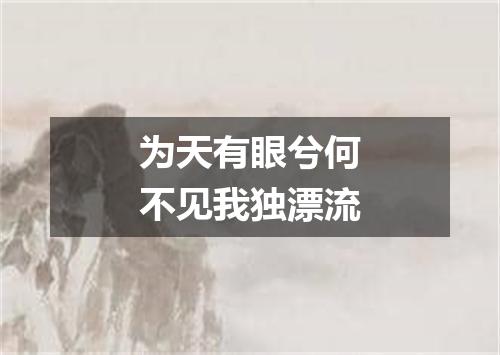 为天有眼兮何不见我独漂流