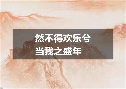 然不得欢乐兮当我之盛年