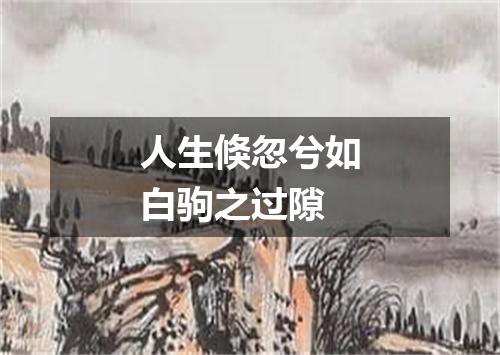 人生倏忽兮如白驹之过隙