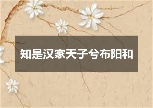 知是汉家天子兮布阳和