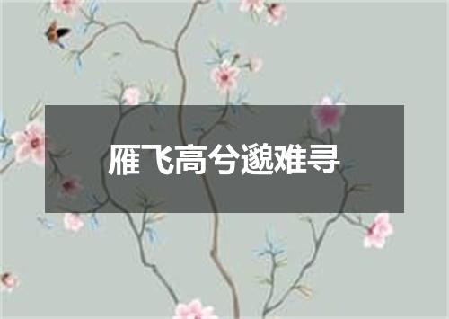 雁飞高兮邈难寻