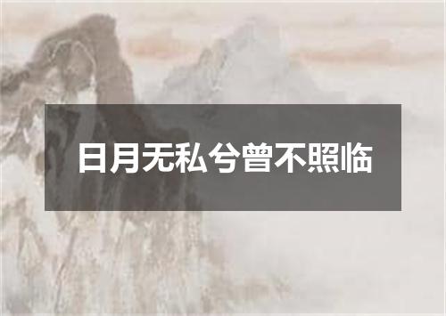 日月无私兮曾不照临