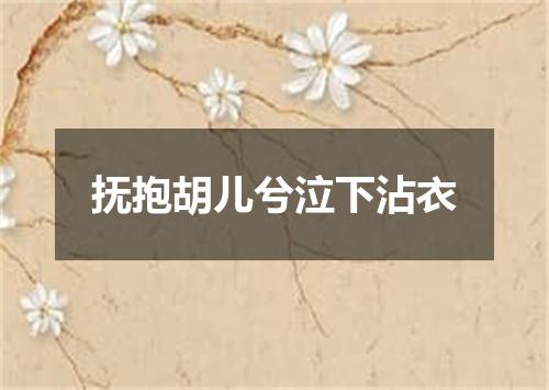 抚抱胡儿兮泣下沾衣