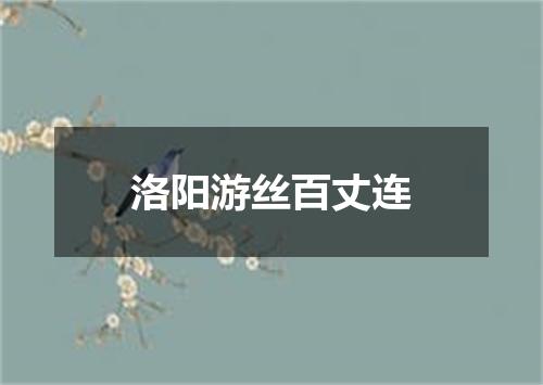 洛阳游丝百丈连