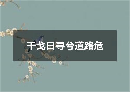 干戈日寻兮道路危