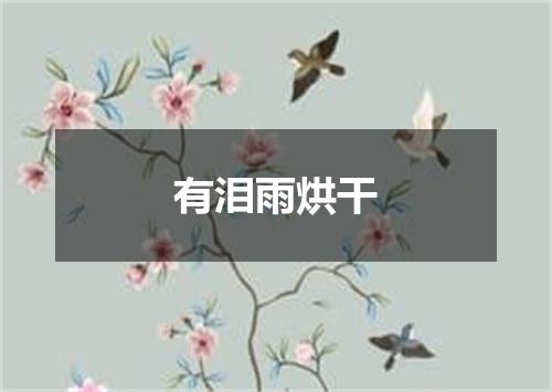 有泪雨烘干