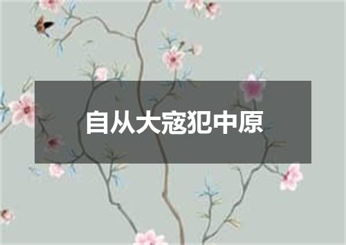 自从大宼犯中原