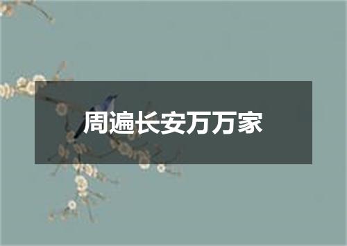 周遍长安万万家