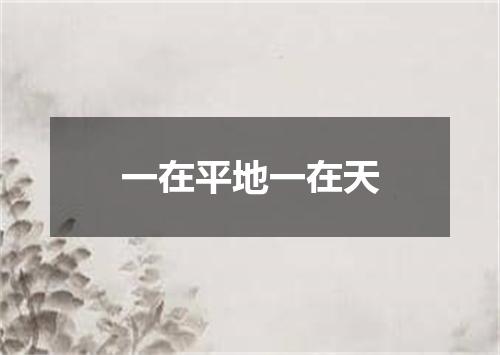 一在平地一在天