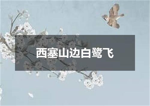 西塞山边白鹭飞