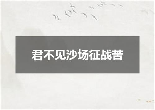 君不见沙场征战苦