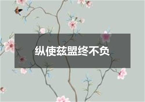 纵使兹盟终不负