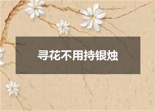 寻花不用持银烛