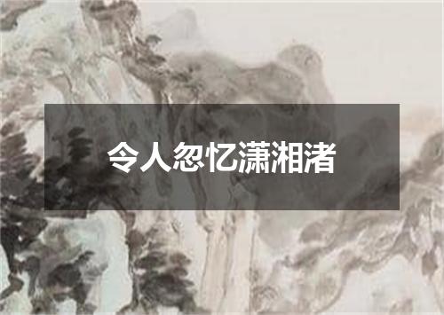 令人忽忆潇湘渚