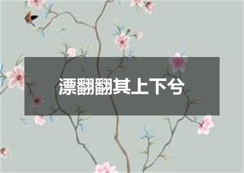 漂翻翻其上下兮