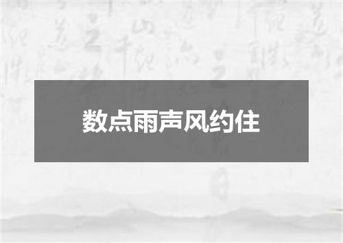 数点雨声风约住