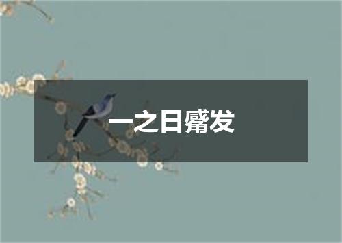 一之日觱发