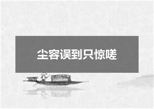 尘容误到只惊嗟