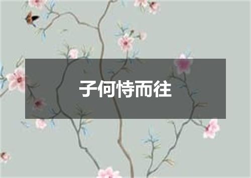 子何恃而往